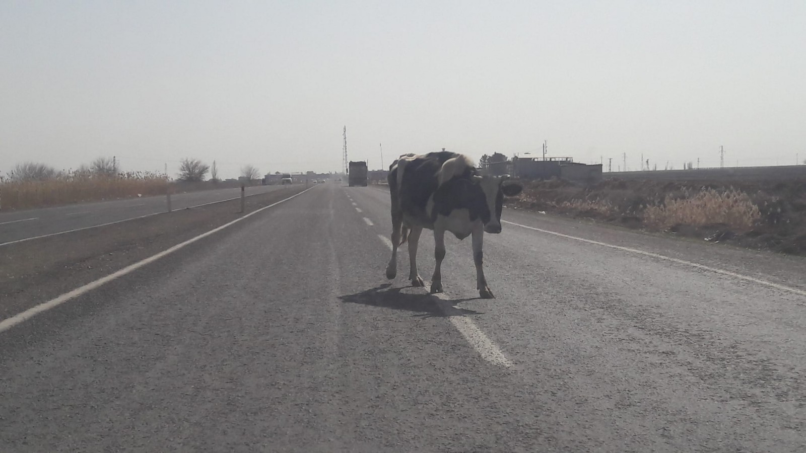 Trafikte tehlike oluşturdu