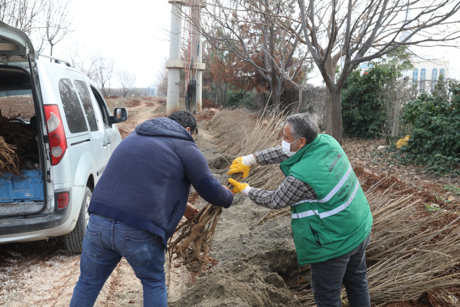 VATANDAŞLAR NAR FİDANLARINI ALMAYA BAŞLADI