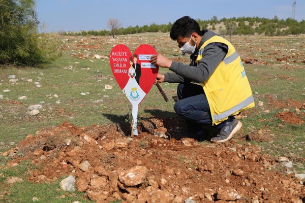 Evlenen Çiftlere Ömürlük Hediye