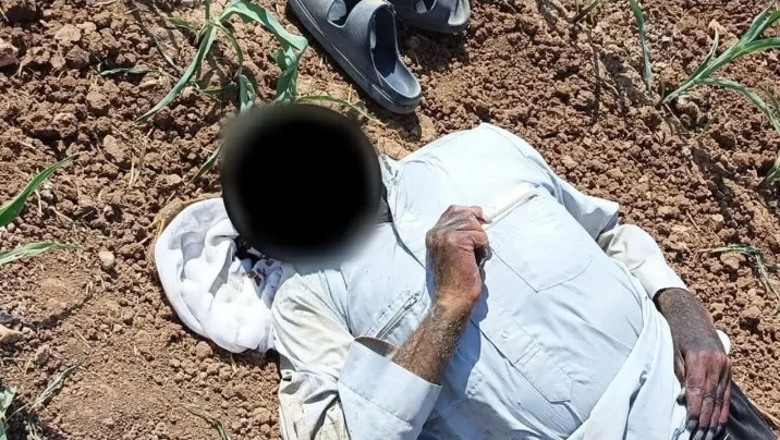 Şanlıurfa'da şüpheli ölüm! Mısır tarlasında bulundu!