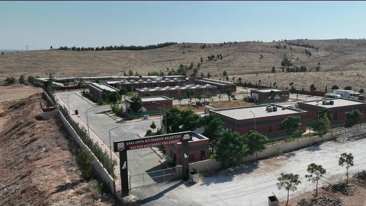 Gülpınar'ın hassasiyet gösterdiği bir proje! Hayata geçiyor