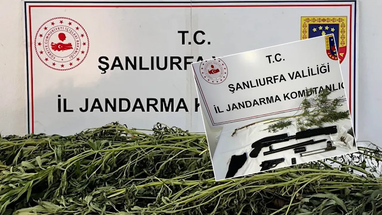 Şanlıurfa'da uyuşturucu ve silah operasyonu!