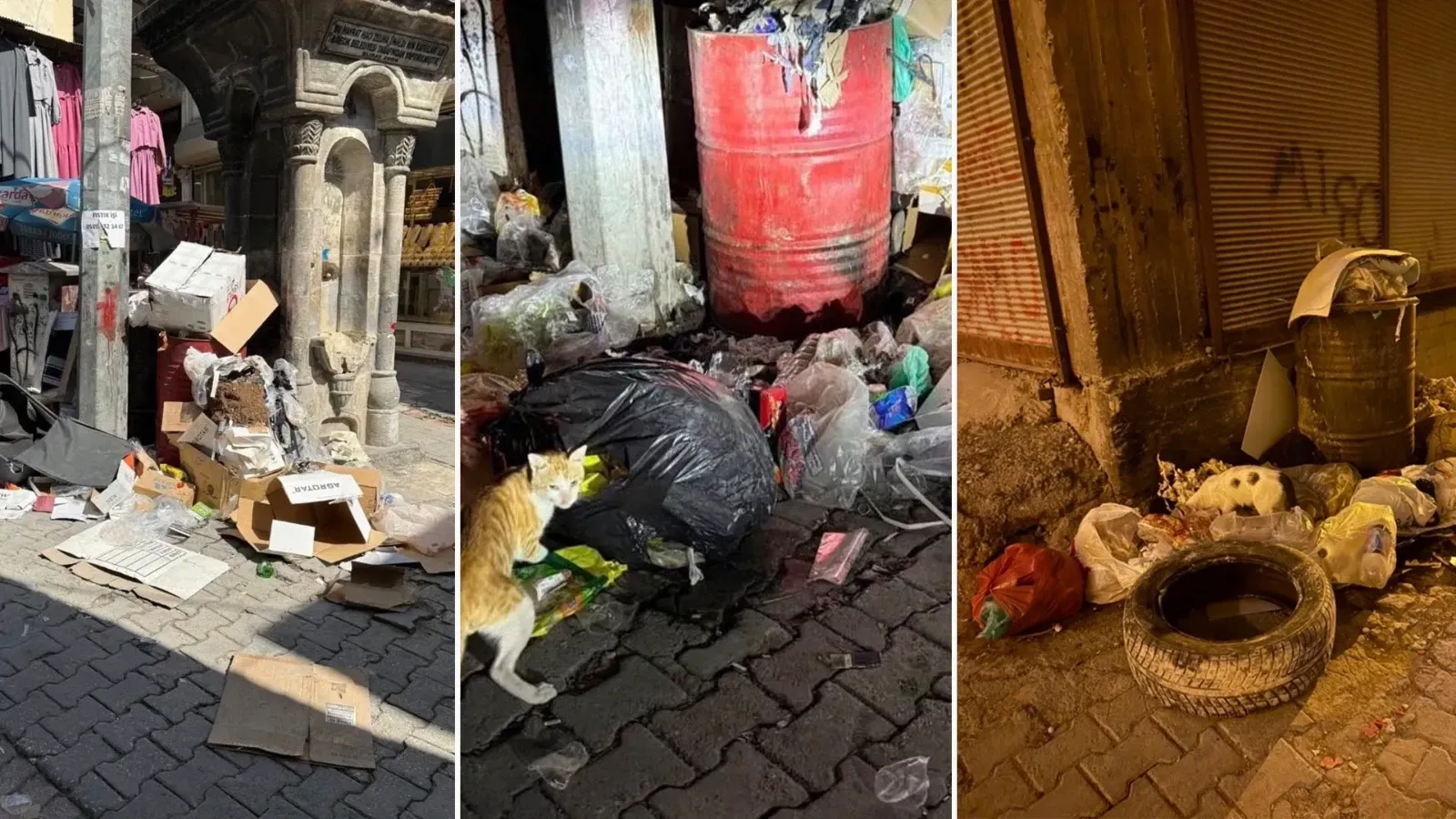 İşte Çöp Yığınlarıyla Ünlü Birecik İlçesi! Vatandaş Tepkili!