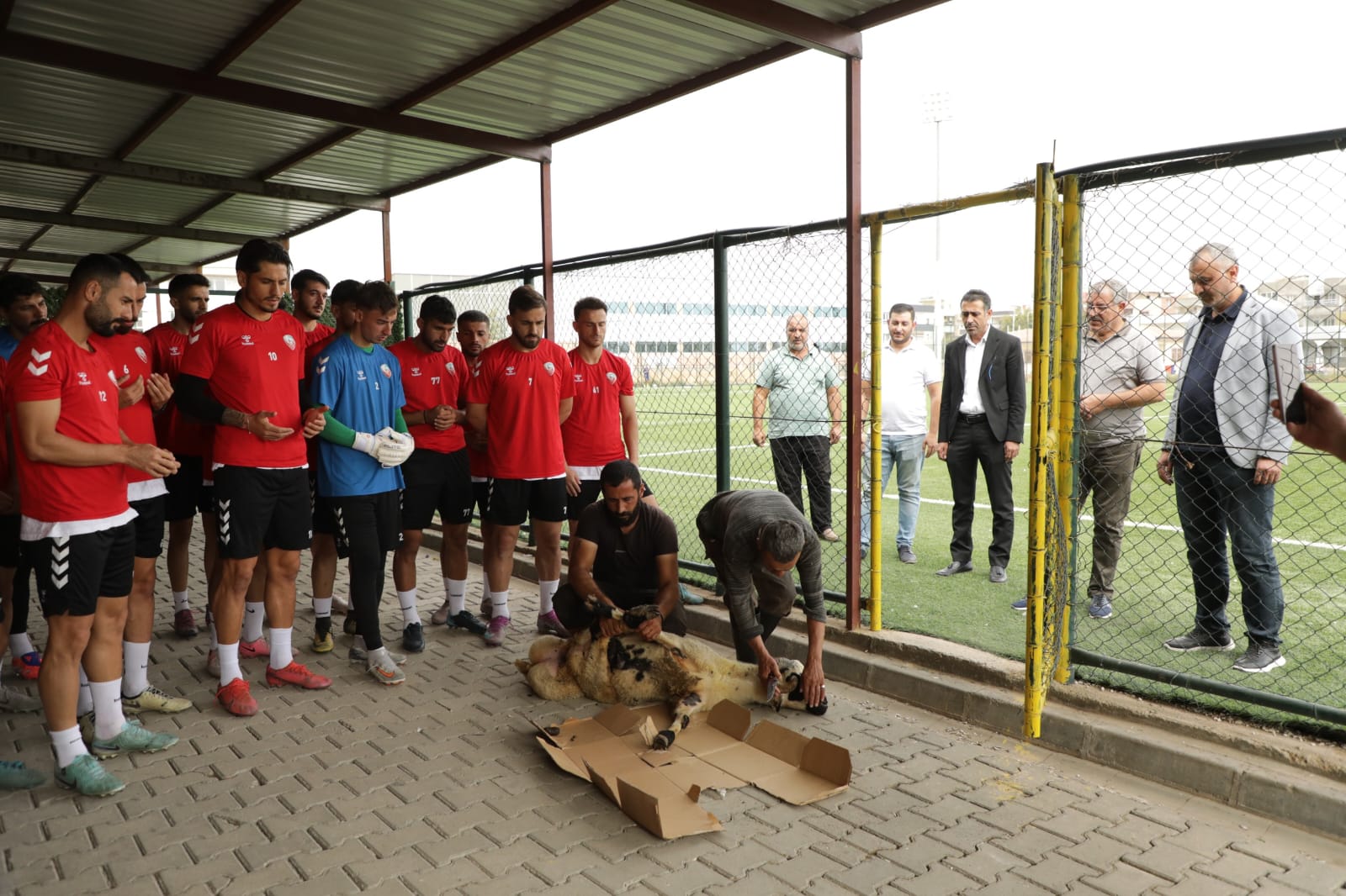 Viranşehir Belediyespor Sezona Kurban Keserek Başladı