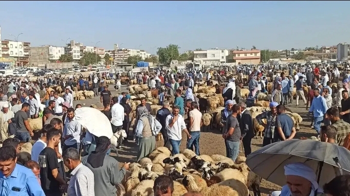 Urfa'da hastalık nedeniyle kapatılmıştı! Pazartesi yeniden açılacak!