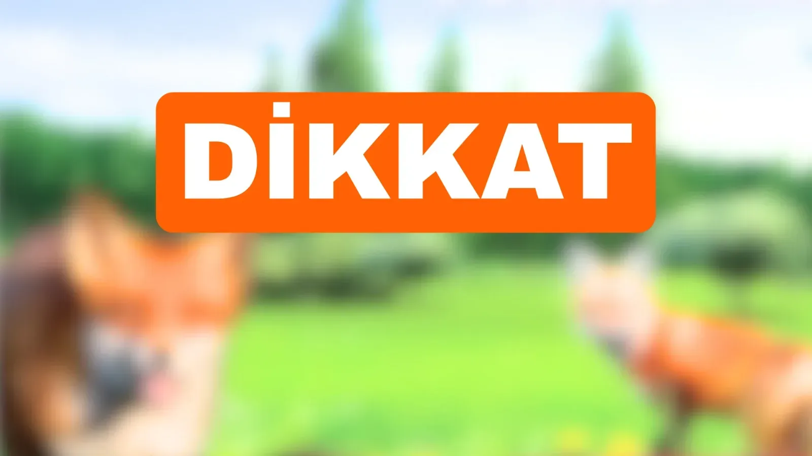 Şanlıurfa'da Ailelere Kritik Uyarı!