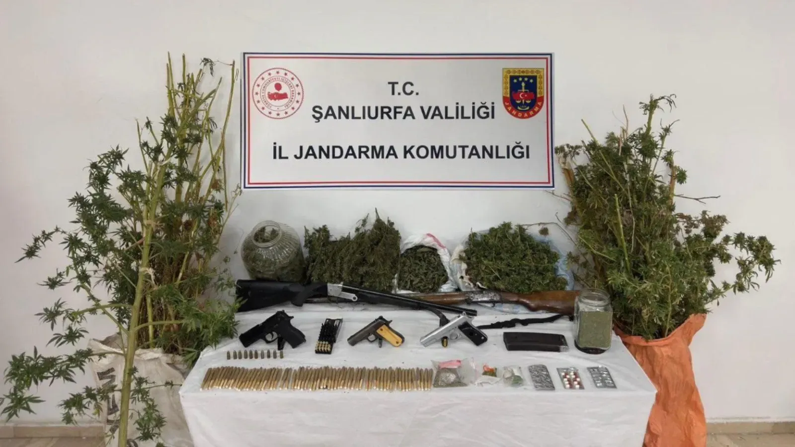 Urfa'da zehir tacirlerine operasyon!
