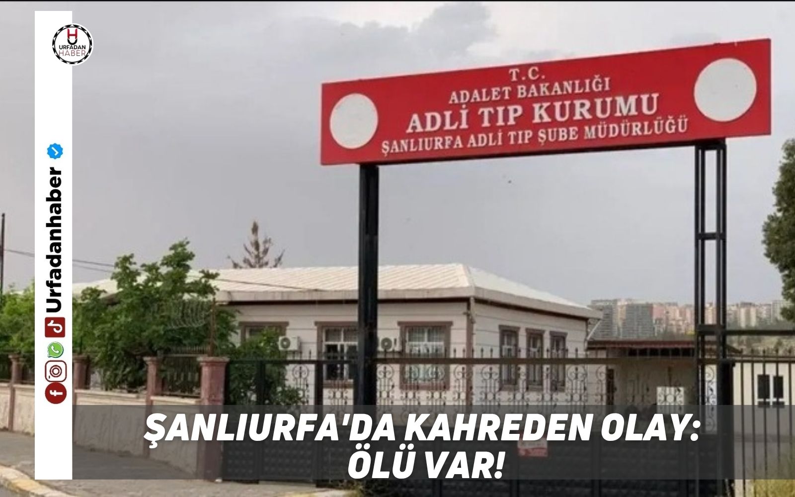 Şanlıurfa'da kahreden olay: Ölü var!