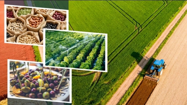 Milyonlarca liralık ödemeler başladı!