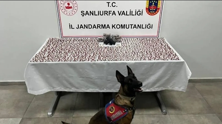 Arama yapıldı! Urfa’da Çok Sayıda Hap Ele Geçirildi!