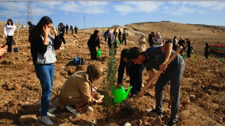 Urfa’da 500 fidan toprakla buluştu