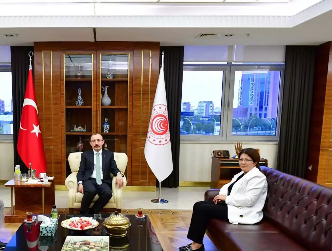 MKYK ÜYESİ VİLDAN POLAT'TAN ANKARA ÇIKARMASI
