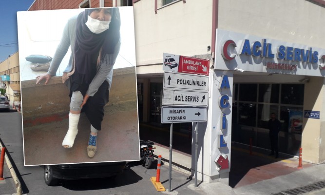 Şanlıurfa'da Köpek Yaşlı Kadına Saldırdı!