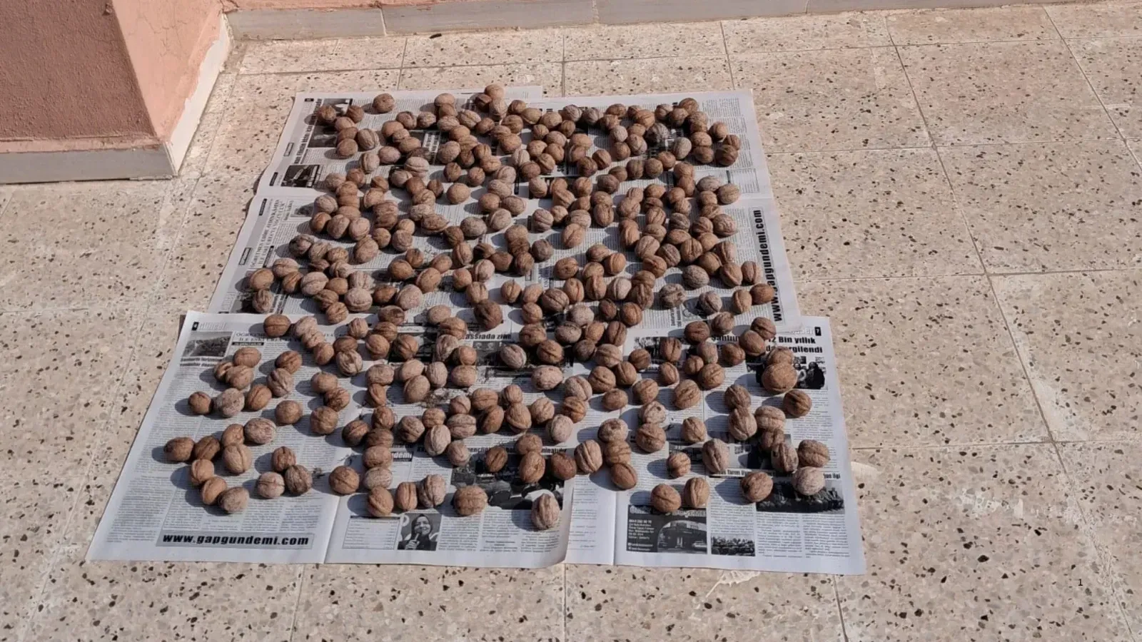 Şanlıurfa’da 3 kilo ceviz bir anda kayboldu! Güvenlik kameraları gerçeği ortaya çıkardı