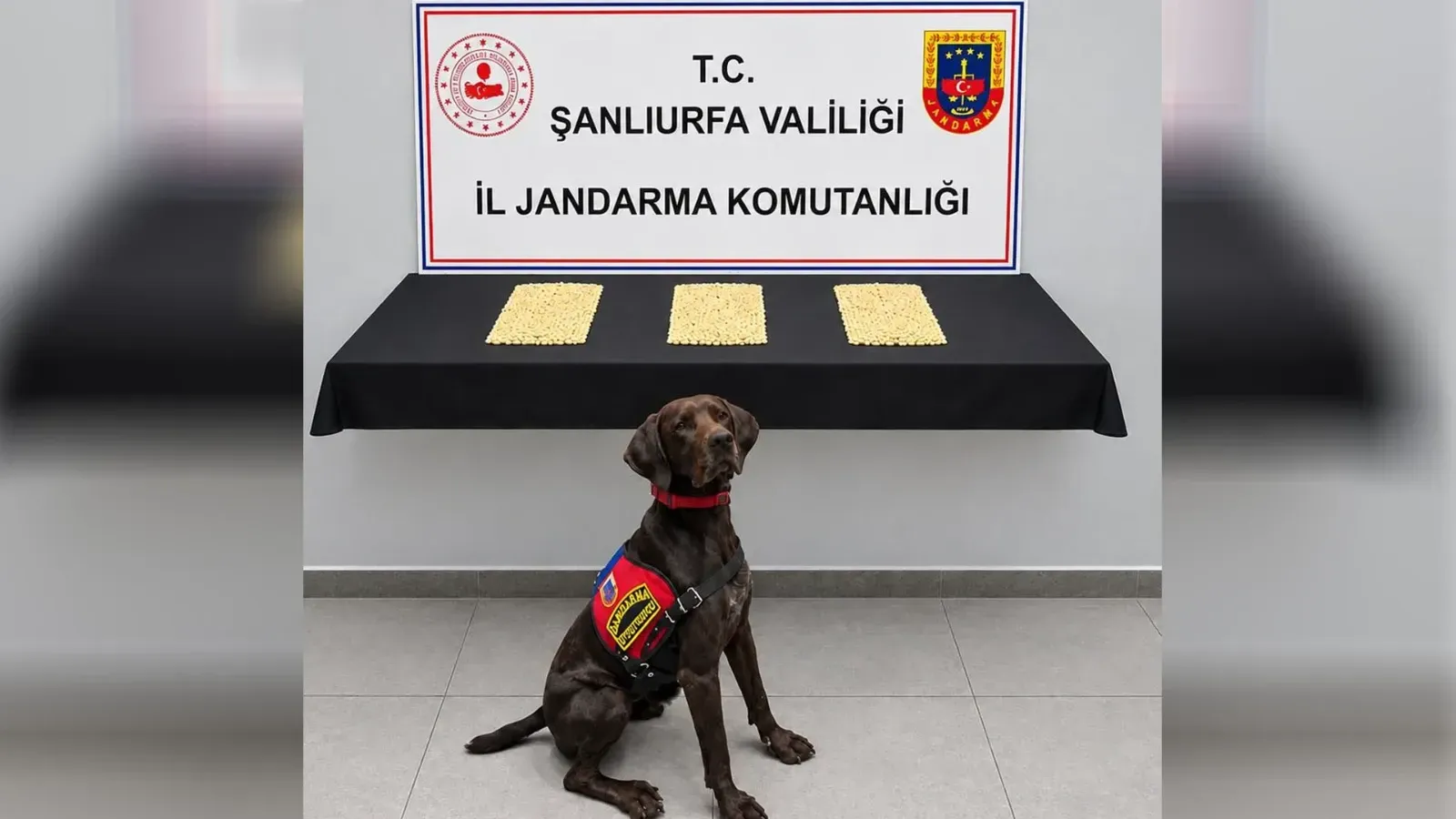 Şanlıurfa’da uyuşturucu operasyonu: 2 bin 970 Captagon hap ele geçirildi